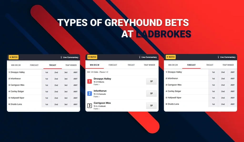 Example of Types Greyhound Bets