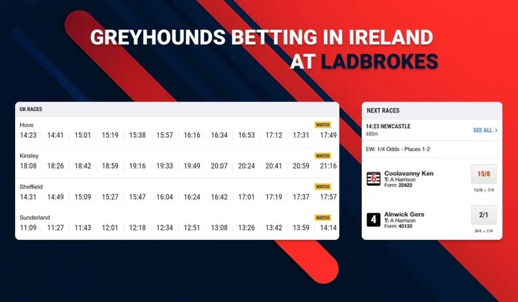 Ladbrokes Greyhounds Betting in Ireland Example of Markets